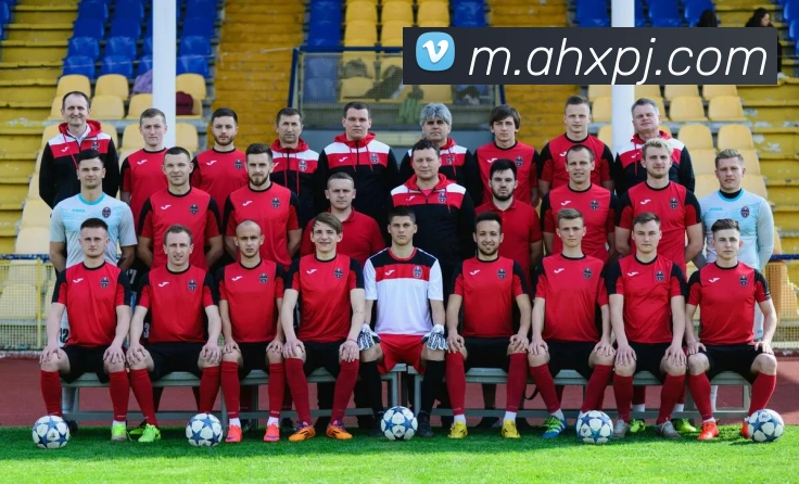 新葡京娱乐APP 封面图